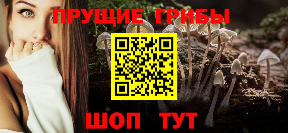 Псилоцибиновые грибы GOLDEN TEACHER Чайковский