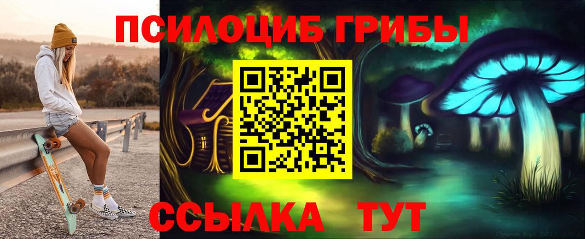 Псилоцибиновые грибы прущие грибы  Вход с VPN  Чайковский  Псилоцибиновые грибы прущие грибы 